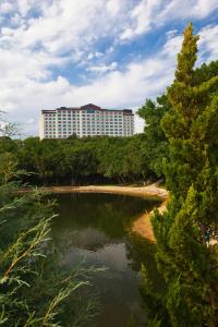 Příroda nedaleko hotelu