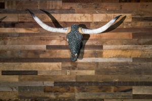 Fotografie z fotogalerie ubytování Renaissance Austin Hotel v destinaci Austin