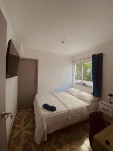 Gallery image of Hotel Boutique DL in Cartagena de Indias