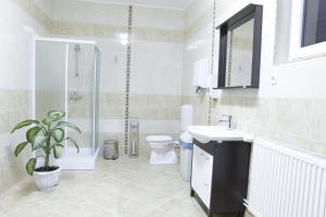 a bathroom with a toilet and a shower and a sink at Hotel Romantik in Bălăuşeri