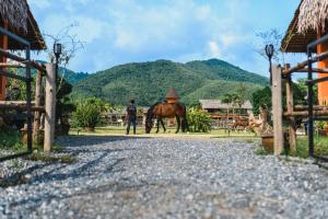 een man die naast een paard staat op een grindweg bij Niran Farm in Koh Lone