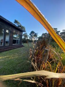 Κήπος έξω από το Desconectar para Conectar