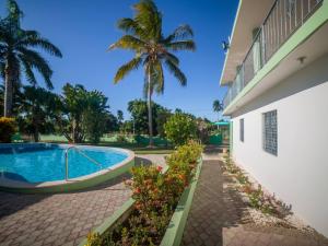 una casa con piscina y una palmera en 7br Massive Villa In Sosa - 2mins From Nightlife, en Sosúa
