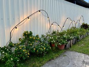 Zahrada ubytování 夏日禾風庭園包棟