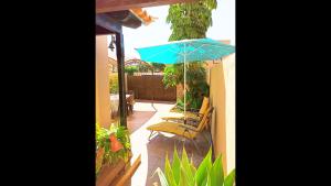 A garden outside Casa Golfin - Mediterranean-style house in Tenerifes sunny south