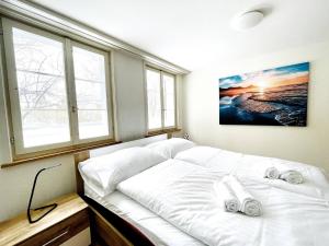 Imagen de la galería de Beautiful Old Building Apartment In The Center, en St. Gallen