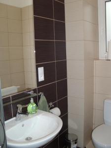 Kúpeľňa v ubytovaní Apartment Irene