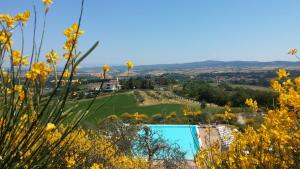 Fotografia z galérie ubytovania Holidays in apartment with swimming pool in Tuscany Siena v destinácii Asciano