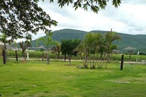 a group of palm trees in a field of grass at Lodging And Tranquility in Tlaquiltenango