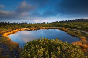 an aerial view of a pond in a forest at Apartmaji Koželj in Ribnica na Pohorju