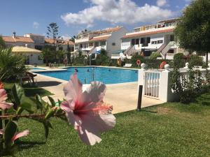 Fotografie z fotogalerie ubytování Studio Torrox Costa Andalusien malaga v destinaci Torrox