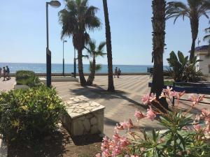 Fotografie z fotogalerie ubytování Studio Torrox Costa Andalusien malaga v destinaci Torrox