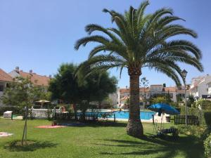 Fotografie z fotogalerie ubytování Studio Torrox Costa Andalusien malaga v destinaci Torrox
