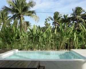 Bazén v ubytování Siargao Lisuga Hotel nebo v jeho okolí