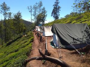uma fileira de tendas em uma estrada de terra em Swiss Tents in Ooty, Tn em Ooty
