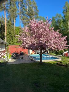 a tree with pink flowers in the middle of a yard at Charming property with private pool in Märsta