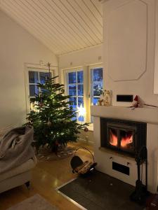 a living room with a christmas tree and a fireplace at Charming property with private pool in Märsta