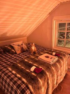 a cat sitting on a bed in a room at Charming property with private pool in Märsta
