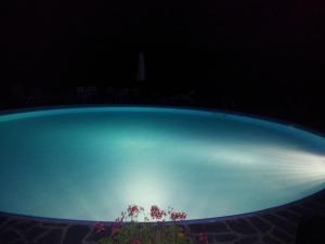 Πισίνα στο ή κοντά στο 3 rooms flat in a green Tuscany valley