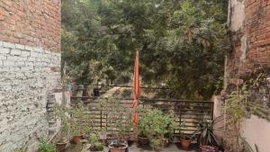 PrayagrajにあるGaTi Home Staysの草木の小路