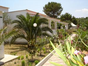 a house with a palm tree in a garden at Residence Sun Bay in Vieste