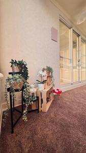 pokój z rośliną, krzesłem i oknami w obiekcie Hello inn 哈囉行旅屏東館 w mieście Pingdong