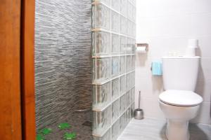 ein Badezimmer mit Toilette und einer Wand mit Glasregalen in der Unterkunft Casa Del Ancla, Attractive House Near the Sea in Torrevieja in Torrevieja + 35 Fotos