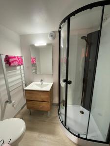 een badkamer met een douche en een wastafel bij An ti bihan in Liffré