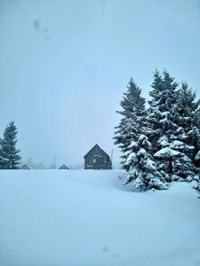 Cottage SuBree on Goderdzi tokom zime