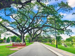an empty street with a large tree in a park at Taiping CreekLodge - Modern BrandNew HomeStay in Kamunting