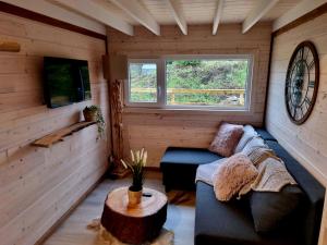 ein kleines Wohnzimmer mit einer Couch und einem Tisch in der Unterkunft Tiny housse serenity avec jacuzzi in Tinlot