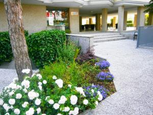 Zahrada ubytování Residence Zenith