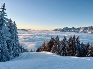 vistas a una montaña nevada con árboles y nubes en Hotel Alpin Tyrol - Kitzbüheler Alpen, en Sankt Johann in Tirol 99 fotos más