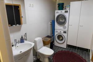 Un baño con lavabo y lavadora. en Luxury apartment with sauna, grill and garage, en Tampere