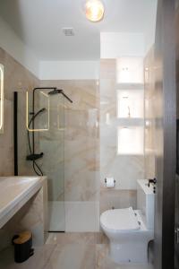 a bathroom with a toilet and a shower and a sink at Palmove Renovated Meneou House in Larnaka +36 photos