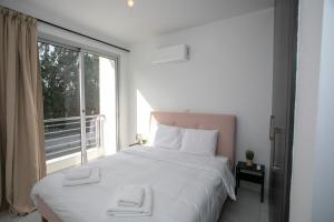 a bedroom with a large bed with a large window at Palmove Renovated Meneou House in Larnaka