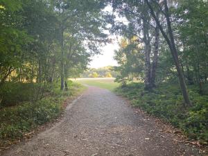 a dirt road with trees on either side at Cosy Homely Apartment close to Lincoln City Centre in Lincoln