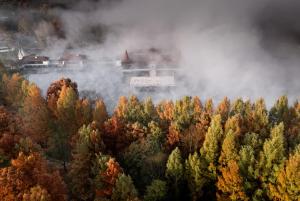widok z góry na las drzew jesienią w obiekcie Le Primore Hotel & Spa w Hévízie