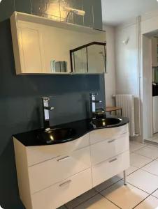 a bathroom with a sink and a mirror at "La Homerie" Chaumière en pleine nature in Savigny-en-Sancerre