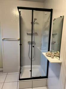 a shower with a glass door in a bathroom at "La Homerie" Chaumière en pleine nature in Savigny-en-Sancerre