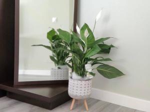 Fotografia z galérie ubytovania Apartamento Mármoles - Centro Málaga v destinácii Málaga