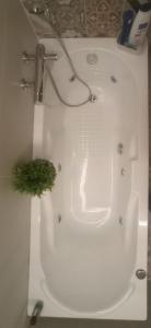 eine weiße Badewanne mit einer grünen Pflanze darin in der Unterkunft PalermHost in Palermo + 14 Fotos