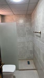 a bathroom with a shower with a toilet and a sink at Monica Wadi Rum in Wadi Rum