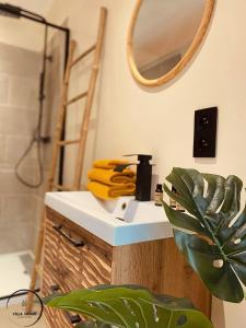 Un baño con lavabo, espejo y una planta. en Villa Urbain, en Brujas