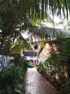 Gallery image of Alba Rooms Palolem Rosebuds in Palolem