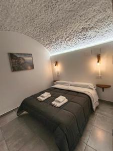 Posteľ alebo postele v izbe v ubytovaní La Madriguera Eco Caves
