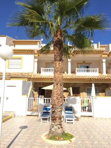 una palmera delante de un edificio en Los Flamencos Villa, en Los Alcázares