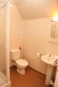 a bathroom with a toilet and a sink at The Red Lion in Revesby