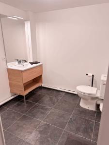 un baño con lavabo e inodoro en Grand studio neuf Bagneux proche transport métro 4 Paris, en Bagneux