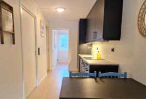 a kitchen with a sink and a counter top at Vrådal Slopeside Apartment in Vradal